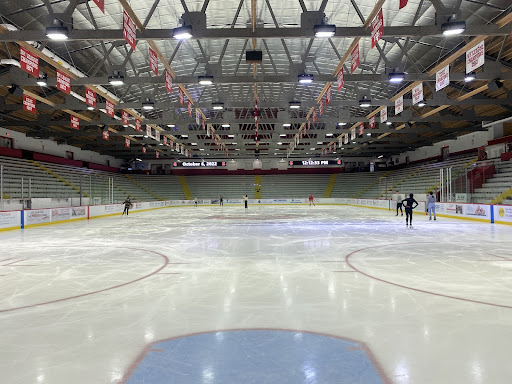 Lynah Rink is Great, But Not For Students - The Cornell Review